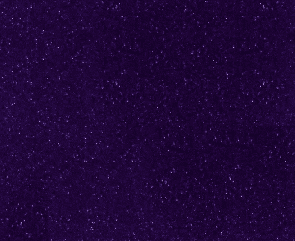 Blackberry Fizz